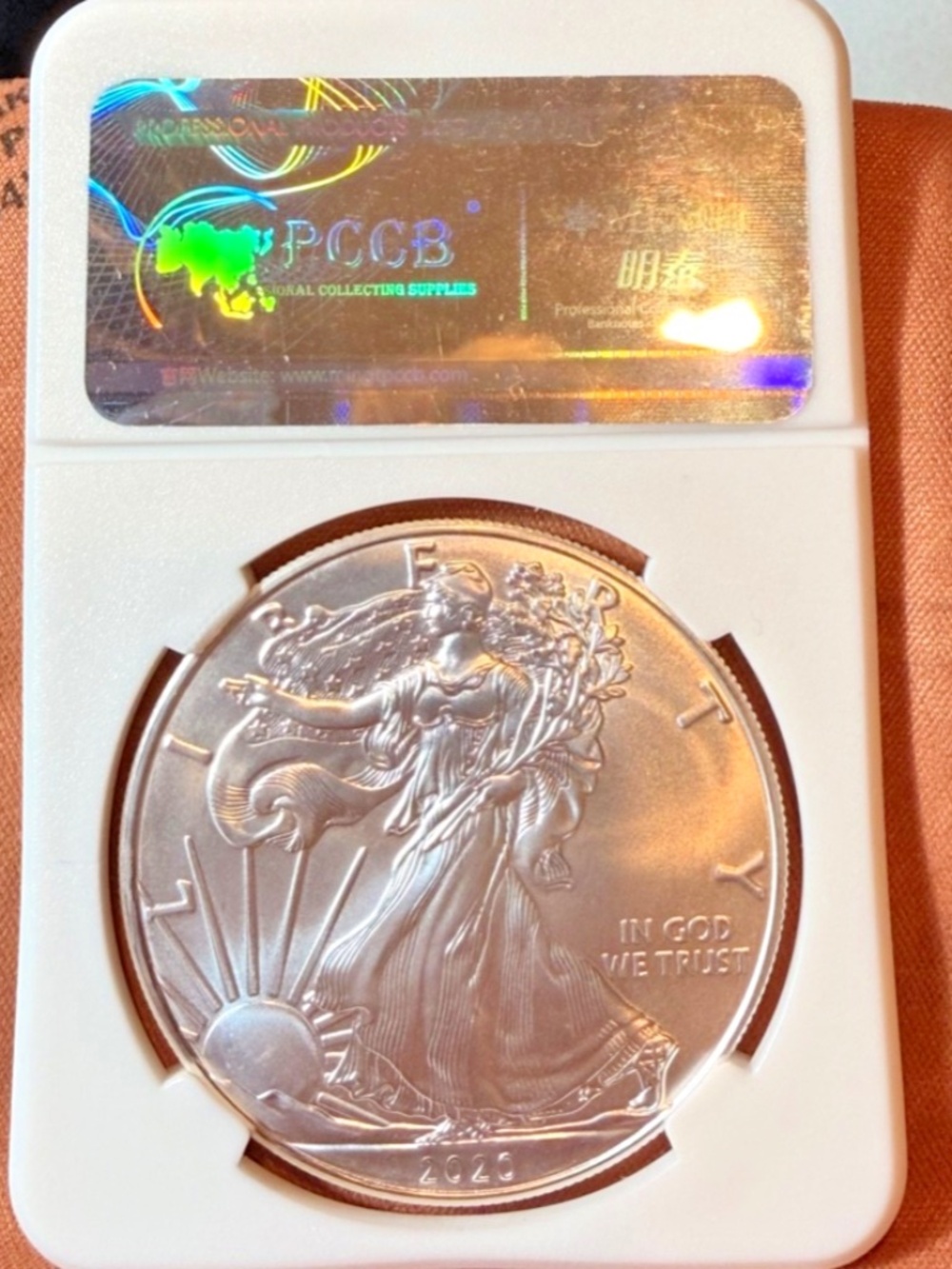 2020 Walking Liberty Mint Silver Dollar Slabbed
